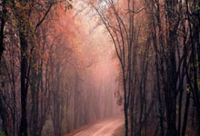 西汉姆球迷打坐庆祝战胜阿森纳,哈兰德社媒点赞.