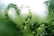 美國隊教練換人傳聞飛,36歲瓦格納拒返霍村.